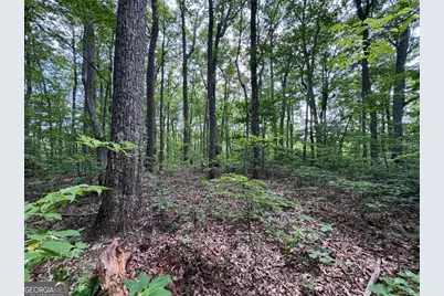 165 St Andrews Way, Jasper, GA 30143 - Photo 7