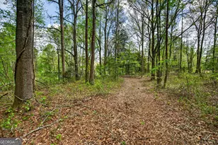 7142 Hamilton Rd, Pine Mountain, GA 31822 - Photo 43
