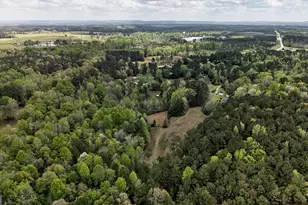 7142 Hamilton Rd, Pine Mountain, GA 31822 - Photo 51