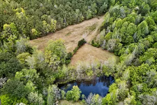 7142 Hamilton Rd, Pine Mountain, GA 31822 - Photo 49