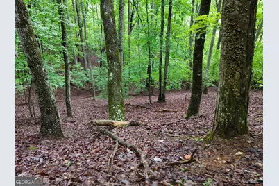Lot 71 Chicory Drive W, Blairsville, GA 30512 - Photo 11
