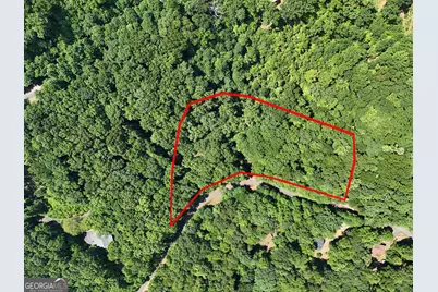 Lot 71 Chicory Drive W, Blairsville, GA 30512 - Photo 3