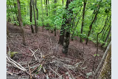 Lot 71 Chicory Drive W, Blairsville, GA 30512 - Photo 13