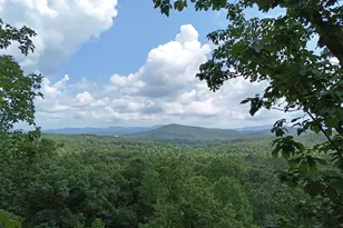 Lot 71 Chicory Dr W, Blairsville, GA 30512 - Photo 1