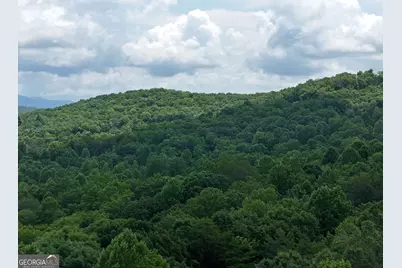 Lot 71 Chicory Drive W, Blairsville, GA 30512 - Photo 27