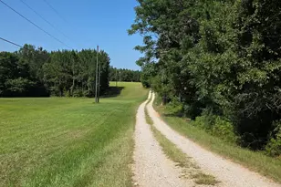 3557 Old Monroe Madison Hwy, Madison, GA 30650 - Photo 19