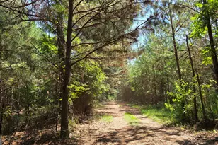 3557 Old Monroe Madison Hwy, Madison, GA 30650 - Photo 23