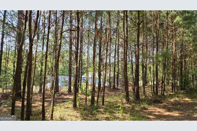 3557 Old Monroe Madison Highway, Madison, GA 30650 - Photo 21