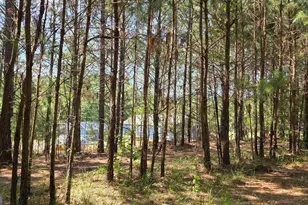 3557 Old Monroe Madison Hwy, Madison, GA 30650 - Photo 21