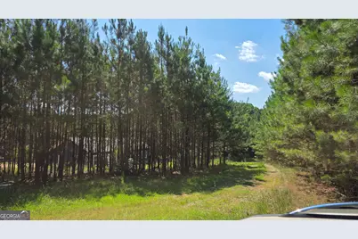 3557 Old Monroe Madison Highway, Madison, GA 30650 - Photo 23