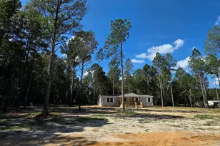 4606 Jackie Drive, Millen, GA 30442 - Photo 3