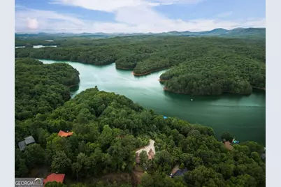 115 Necowa Cove Overlook, Blue Ridge, GA 30513 - Photo 53
