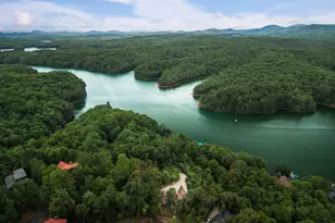 115 Necowa Cove Overlook, Blue Ridge, GA 30513 - Photo 53