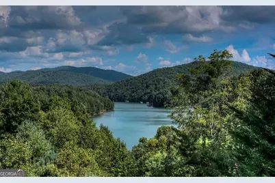 115 Necowa Cove Overlook, Blue Ridge, GA 30513 - Photo 11
