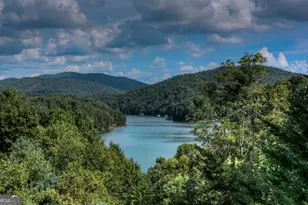 115 Necowa Cove Overlook, Blue Ridge, GA 30513 - Photo 11