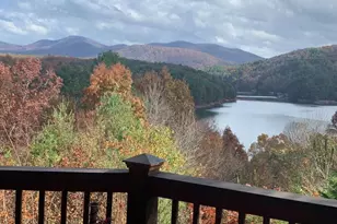 115 Necowa Cove Overlook, Blue Ridge, GA 30513 - Photo 7