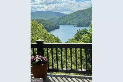 115 Necowa Cove Overlook, Blue Ridge, GA 30513 - Photo 49