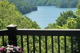 115 Necowa Cove Overlook, Blue Ridge, GA 30513 - Photo 49