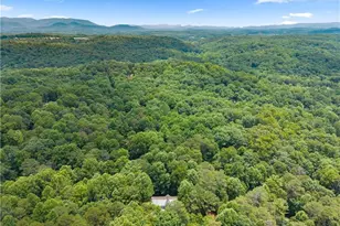 92 Bamby Ln, Ellijay, GA 30540 - Photo 63