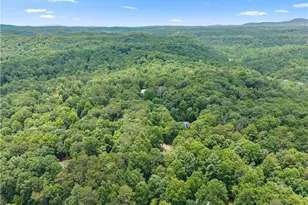 92 Bamby Ln, Ellijay, GA 30540 - Photo 67