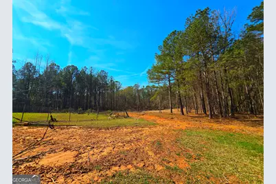 2001 Rocky Creek Road, Mansfield, GA 30055 - Photo 7