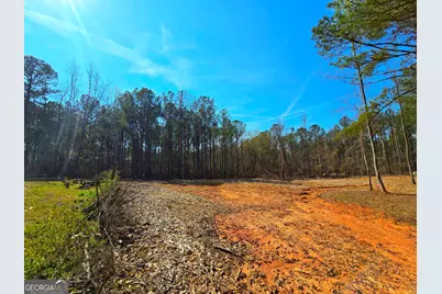 2001 Rocky Creek Road, Mansfield, GA 30055 - Photo 19