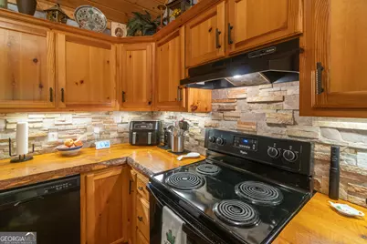 146 Shady Laurel Drive, Sautee Nacoochee, GA 30571 - Photo 19