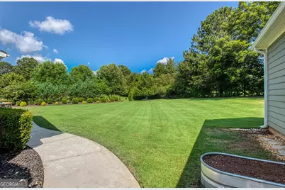 118 Willow Bend Cir, Senoia, GA 30276 - Photo 47