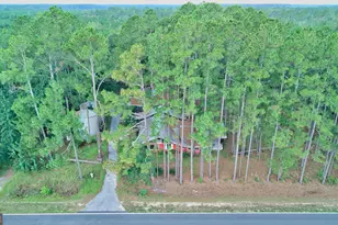 4421 Albert Rahn Rd, Glennville, GA 30427 - Photo 7