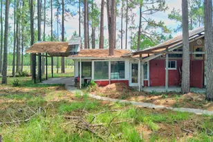 4421 Albert Rahn Rd, Glennville, GA 30427 - Photo 25