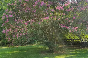 5043 Old West Point Rd, Lagrange, GA 30240 - Photo 29
