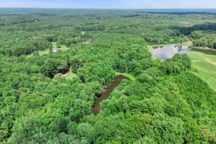 406 Summers McKoy Rd Rd, Newnan, GA 30263 - Photo 21
