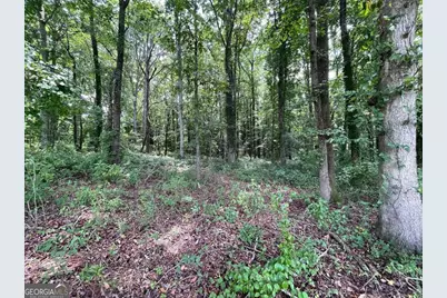 646 Harris Lord Cemetery Road, Commerce, GA 30530 - Photo 9