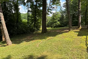 8 Waldheim Strasse St, Helen, GA 30545 - Photo 25