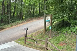 8 Waldheim Strasse St, Helen, GA 30545 - Photo 29
