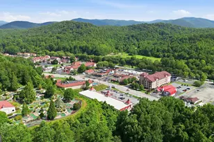 8 Waldheim Strasse St, Helen, GA 30545 - Photo 45