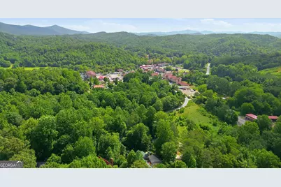 8 Waldheim Strasse Street, Helen, GA 30545 - Photo 43