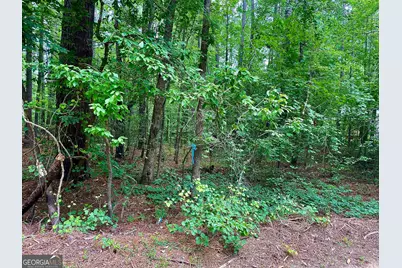 1190 Shore Drive, Tignall, GA 30668 - Photo 31