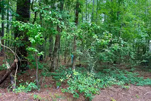 1190 Shore Dr, Tignall, GA 30668 - Photo 31