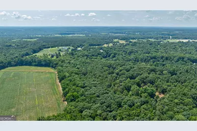 361 Meyer Farm Road, Winterville, GA 30683 - Photo 47