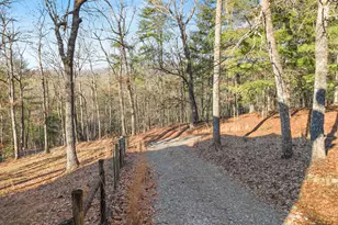 234 Old Indian Trail, Blue Ridge, GA 30513 - Photo 47