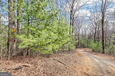 1068 Coleman River Road, Clayton, GA 30525 - Photo 73