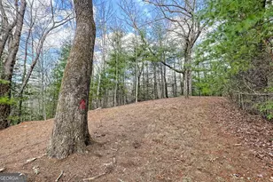 1068 Coleman River Rd, Clayton, GA 30525 - Photo 61