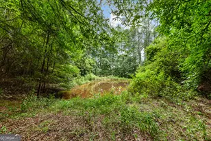17 Pineforest Rd, Winterville, GA 30683 - Photo 33