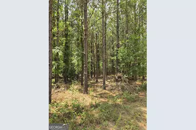 Tbd Ga Hwy 56 N, Waynesboro, GA 30830 - Photo 7