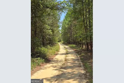 Tbd Ga Hwy 56 N, Waynesboro, GA 30830 - Photo 3