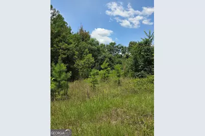Tbd Ga Hwy 56 N, Waynesboro, GA 30830 - Photo 11