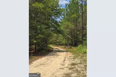 Tbd Ga Hwy 56 N, Waynesboro, GA 30830 - Photo 5