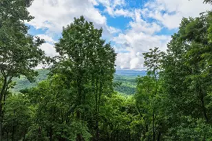 1220 Walnut Ridge, Ellijay, GA 30536 - Photo 45