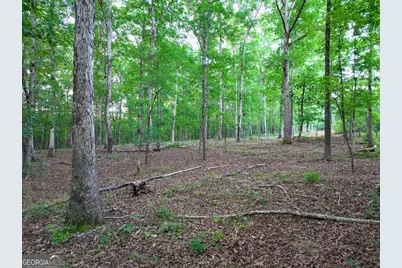 V/L Highland Circle, Flovilla, GA 30216 - Photo 7